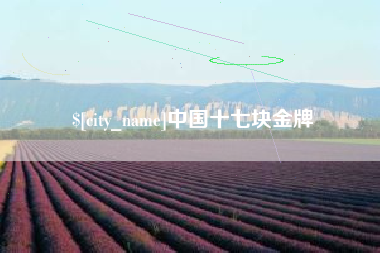 福州中国十七块金牌