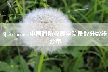 福州中国消防救援学院录取分数线公布