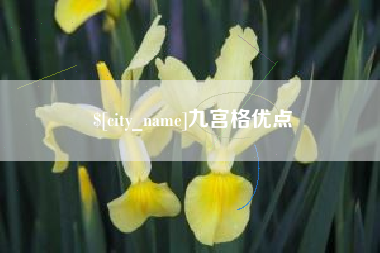 福州九宫格优点