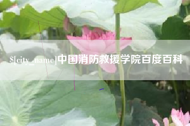 福州中国消防救援学院百度百科