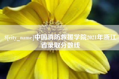 福州中国消防救援学院2021年浙江省录取分数线