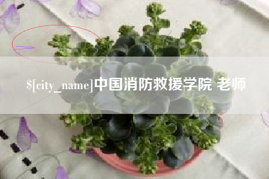 福州中国消防救援学院 老师