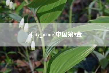 福州中国第9金
