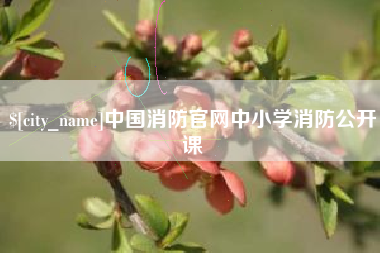 福州中国消防官网中小学消防公开课