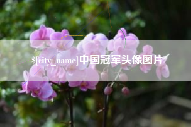 福州中国冠军头像图片