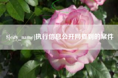 福州执行信息公开网查到的案件