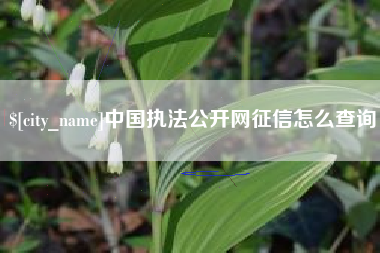 福州中国执法公开网征信怎么查询