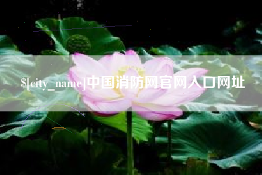 福州中国消防网官网入口网址
