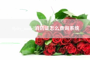 福州消防证怎么查询系统