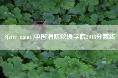 福州中国消防救援学院2018分数线