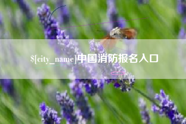 福州中国消防报名入口