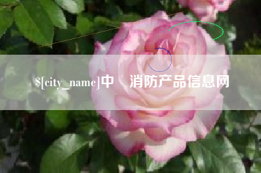 福州中囯消防产品信息网