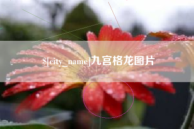 福州九宫格龙图片