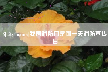福州我国消防日是哪一天消防宣传日