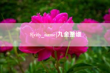 福州九金是谁