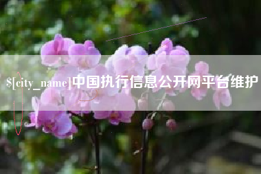 福州中国执行信息公开网平台维护