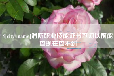 福州消防职业技能证书查询以前能查现在查不到