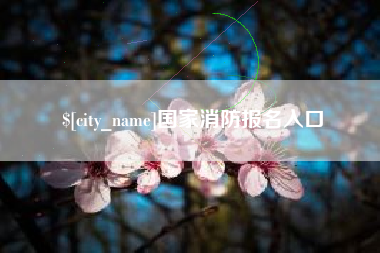 福州国家消防报名入口