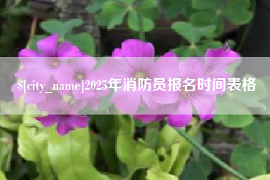 福州2025年消防员报名时间表格