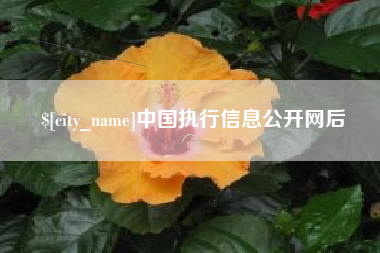 福州中国执行信息公开网后
