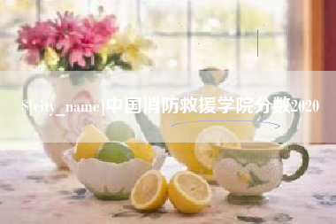 福州中国消防救援学院分数2020