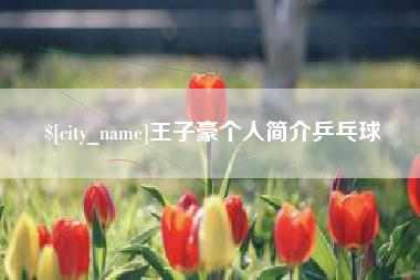 福州王子豪个人简介乒乓球