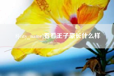 福州看看王子豪长什么样