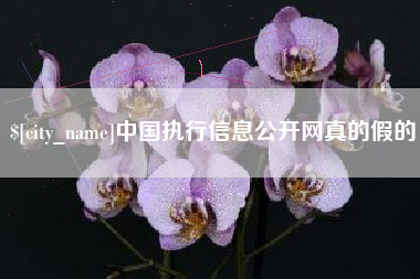 福州中国执行信息公开网真的假的