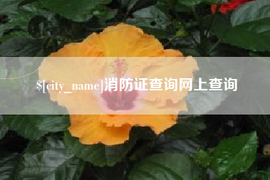 福州消防证查询网上查询