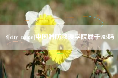 福州中国消防救援学院属于985吗