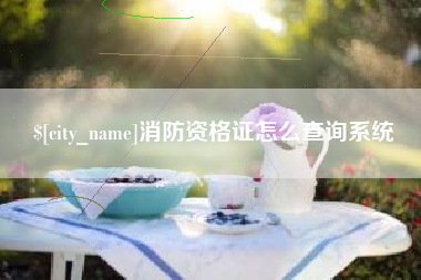 福州消防资格证怎么查询系统