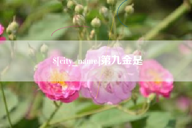 福州第九金是