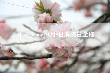 福州11月9日消防日全称