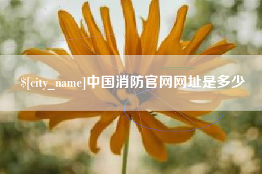 福州中国消防官网网址是多少