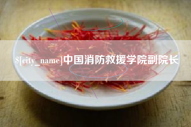 福州中国消防救援学院副院长