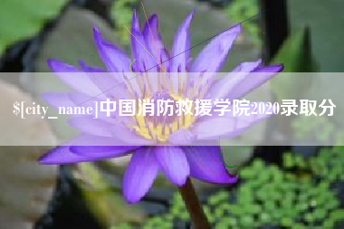 福州中国消防救援学院2020录取分