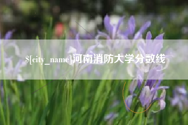 福州河南消防大学分数线