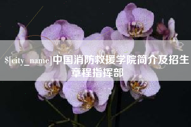 福州中国消防救援学院简介及招生章程指挥部