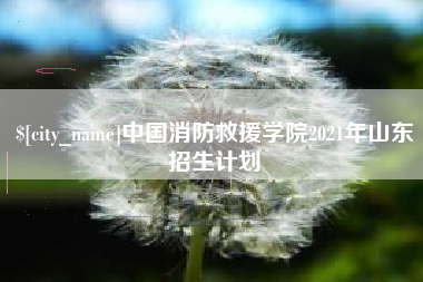 福州中国消防救援学院2021年山东招生计划