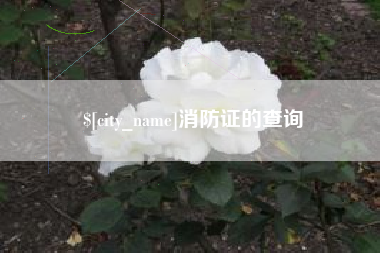 福州消防证的查询