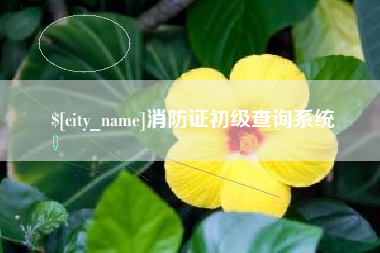 福州消防证初级查询系统