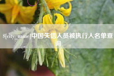 福州中国失信人员被执行人名单查询