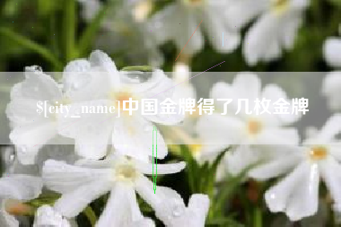 福州中国金牌得了几枚金牌
