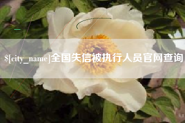 福州全国失信被执行人员官网查询
