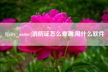 福州消防证怎么查询,用什么软件