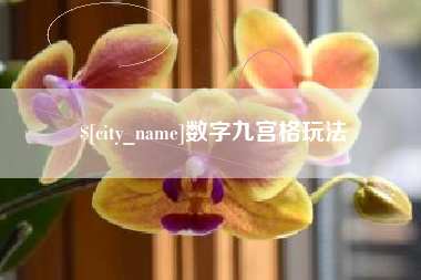 福州数字九宫格玩法