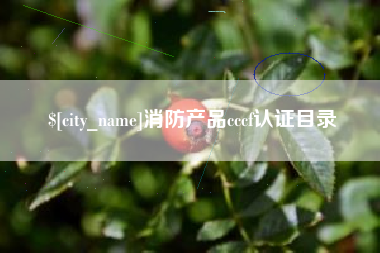 福州消防产品cccf认证目录