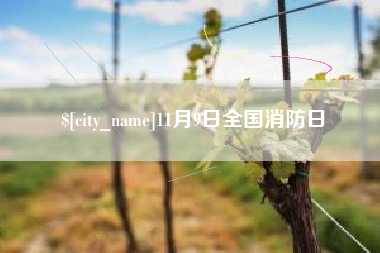 福州11月9日全国消防日