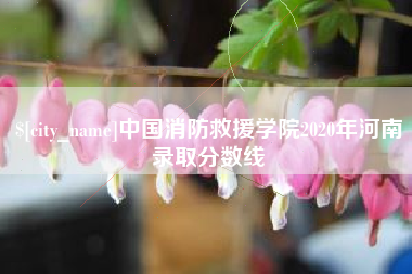 福州中国消防救援学院2020年河南录取分数线