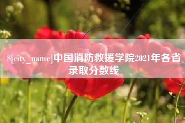 福州中国消防救援学院2021年各省录取分数线